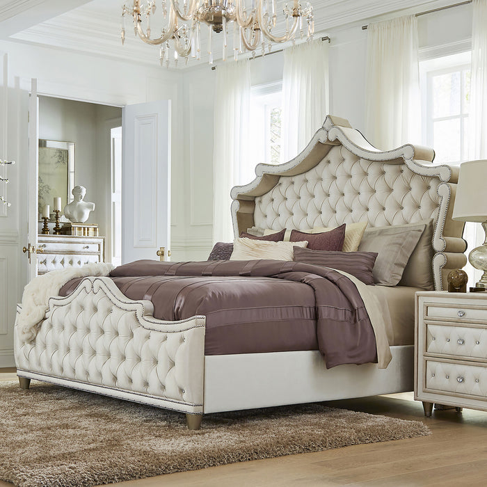 Antonella Queen Beds
