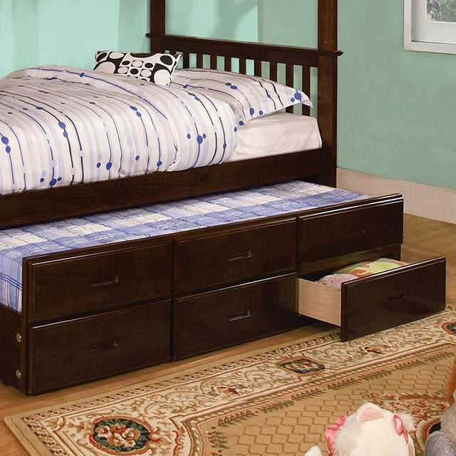 University I Dark Walnut Twin/Full Bunk Bed + Trundle